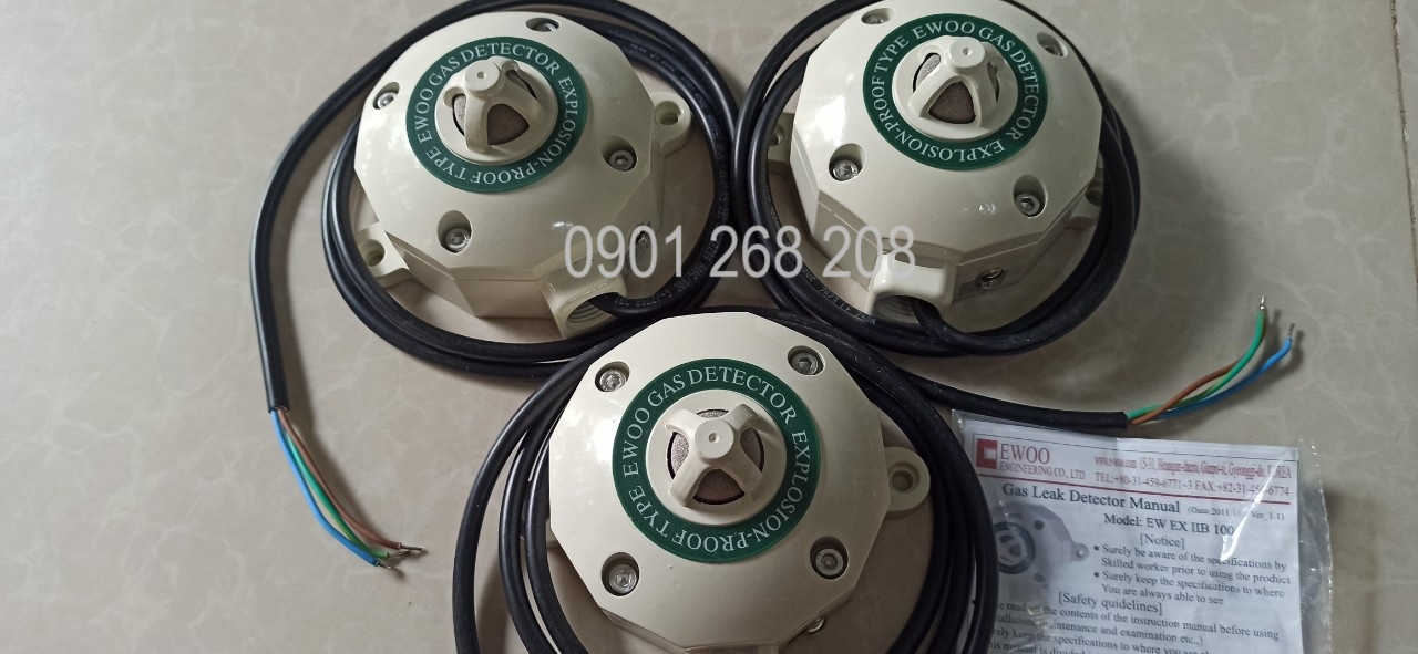 Gas detector EWOO